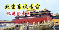骚B狂夹大鸡巴高清动作视频中国北京-东城古宫旅游风景区